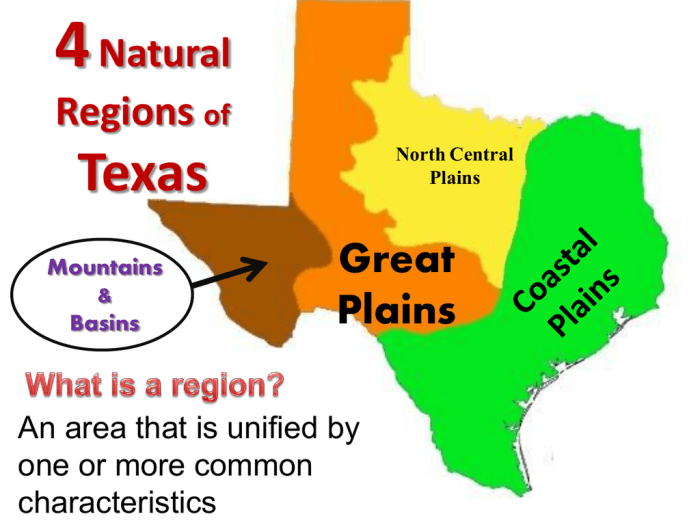 Major cities in the coastal plains region of texas