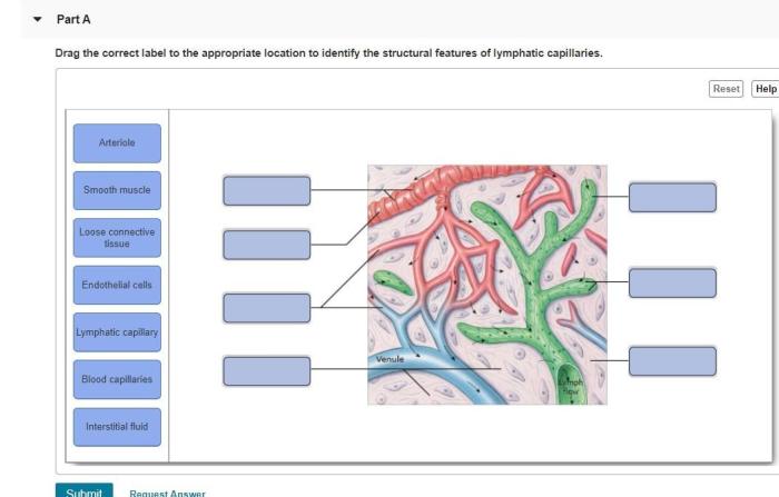 Drag label involved described identify appropriate position structure each chapter solved transcribed text show