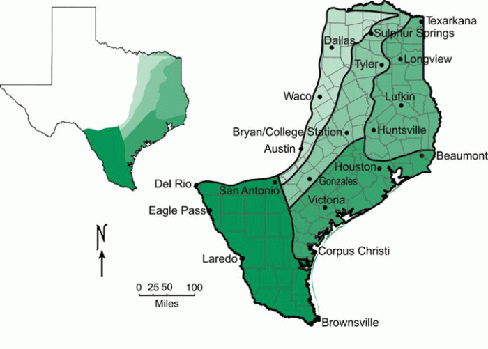 Major cities in the coastal plains region of texas