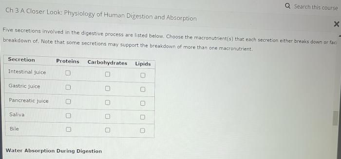 A closer look physiology of human digestion and absorption