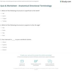 Anatomy directional terms practice worksheet answers