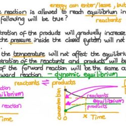 Phet reversible reactions worksheet answer key